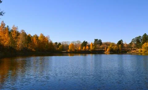 Autumn trees on the shore of a forest lake Stock Photos
