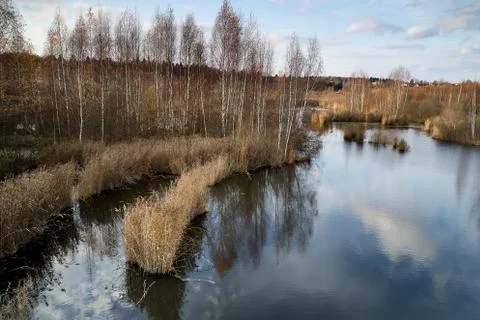 Autumn, trees sky, clouds, dried plant, lake, reflection in the water Foto stock