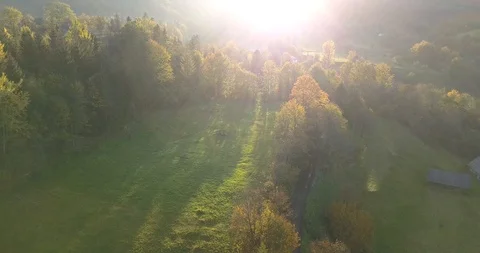Autumn trees in sunlight Stock Footage 102187528