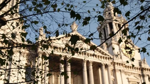 Autumn trees sway in wind in front of ancient building in London 스톡 동영상 82788573