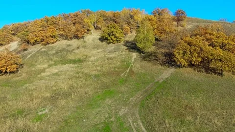 Autumn trees on the top of the hill Stock Footage 101068492