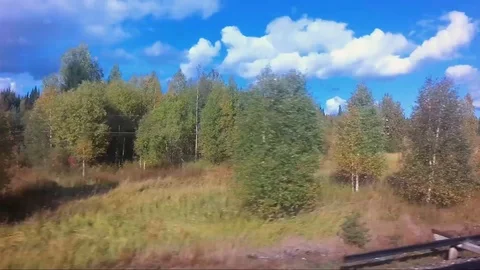 Autumn trees. View from window of train Stock Footage 100920738