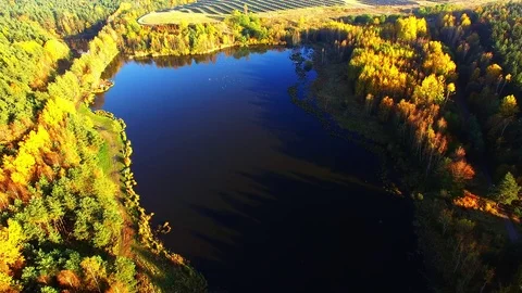 Autumn on Trout lake. Video stock 71939773
