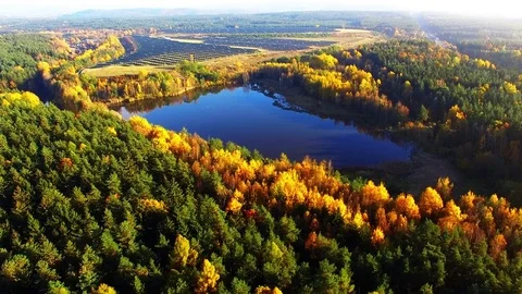 Autumn on Trout lake. Stock Footage 71940516