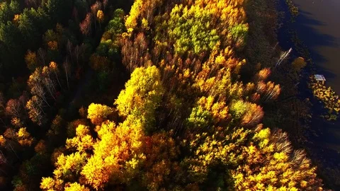 Autumn on Trout lake. Stock-Footage 71940687