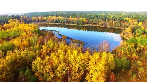 Autumn on Trout lake. Stock-Footage 71941675