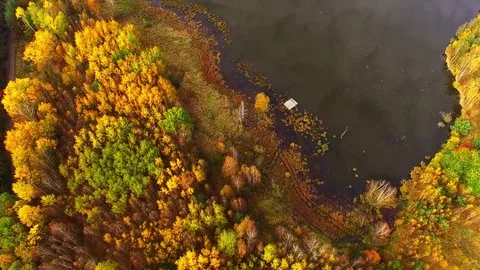 Autumn on Trout lake. Stock Footage 71941874