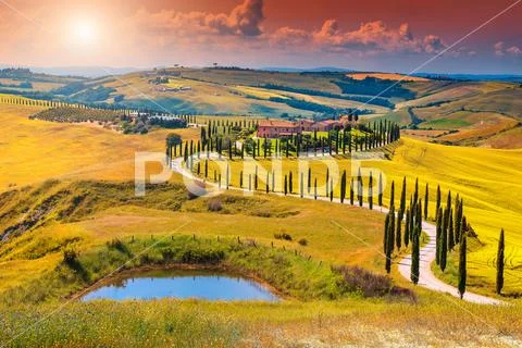 Autumn Tuscany landscape with curved road and cypress, Italy, Europe Stock Photos