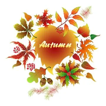 Autumn typographic. Fall leaf. Stock Illustration