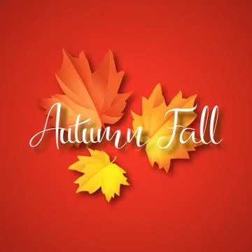 Autumn typographic. Fall leaf. Vector illustration EPS 10 Stock Illustration