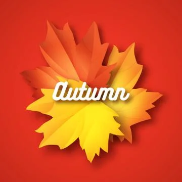 Autumn typographic. Fall leaf. Vector illustration EPS 10 Illustrazione stock