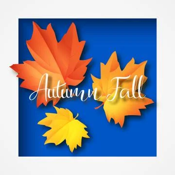 Autumn typographic. Fall leaf. Vector illustration EPS 10 Stock Illustration