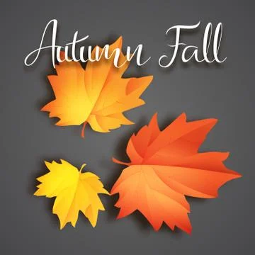 Autumn typographic. Fall leaf. Vector illustration EPS 10 Stock Illustration