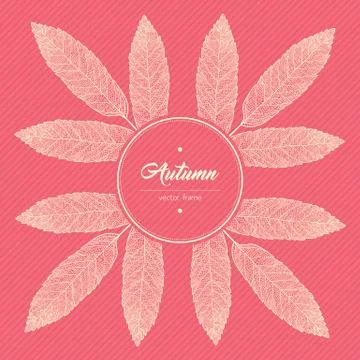 Autumn typographic. Stock Illustration