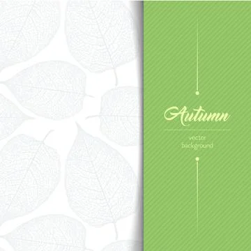 Autumn typographic. Stock Illustration