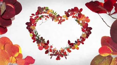 Autumn Valentine Abstract background Stock Footage 201080642