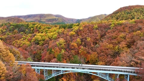 Autumn Valley | Blue Bridge | Nikko - 4K Aerial Video Stock Footage 329052625