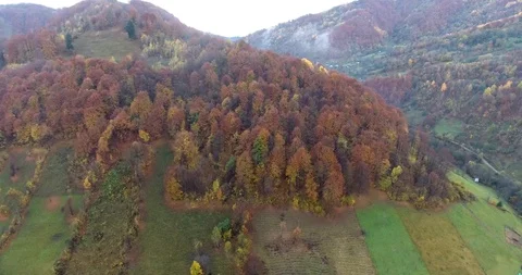 Autumn in the Valley Stock Footage 97740064