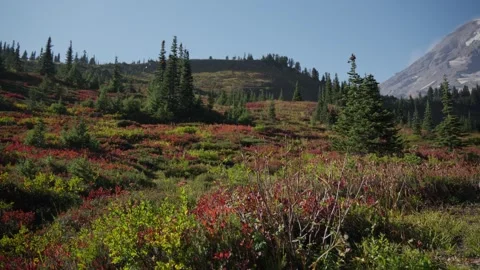 Autumn Valley with Sleeping Volcano under Clear Sky Stock Footage 319058563