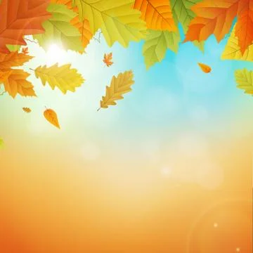 Autumn vector background with leafs Illustration