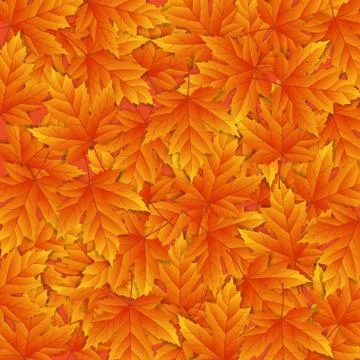 Autumn vector background with orange leafs Ilustração Stock