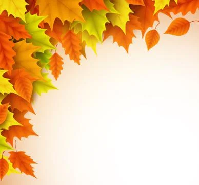 Autumn vector background template. Fall season maple leaves Stock Illustration