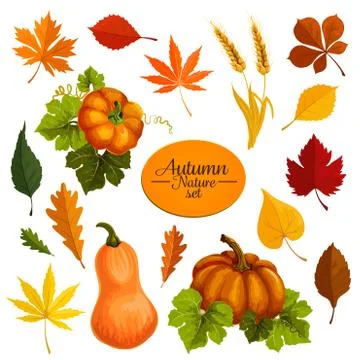 Autumn vector icons of leaf fall and harvest Illustrazione stock