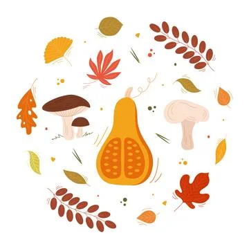 Autumn vector illustration of a cut pumpkin, mushrooms 스톡 일러스트