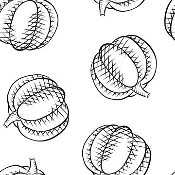 Autumn vector illustrations of decorative frames, borders, and seamless pat.. Stock-Illustration