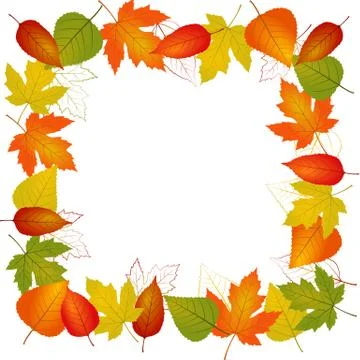 Autumn vector leaf border illustration isolated from background Stock-Illustration