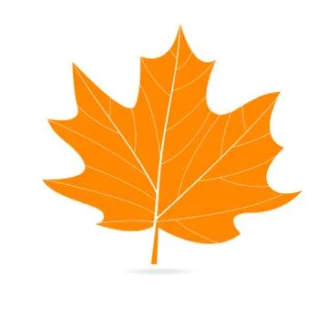 Autumn vector orange leaf. Stock Illustration