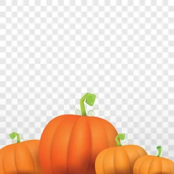 Autumn vector orange pumpkins border design template for banners and Stock Illustration