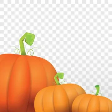 Autumn vector orange pumpkins border design template for banners and Stock Illustration
