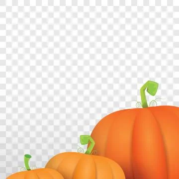 Autumn vector orange pumpkins border design template for banners and Stock Illustration