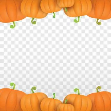 Autumn vector orange pumpkins border design template for banners and 스톡 일러스트