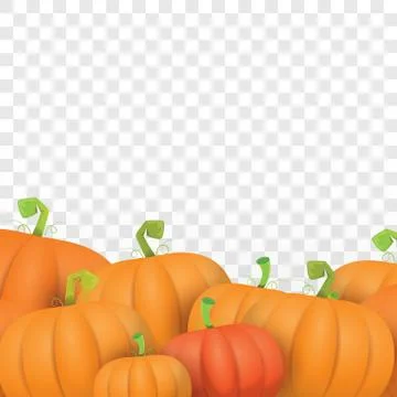 Autumn vector orange pumpkins border design template for banners and 스톡 일러스트