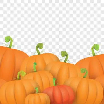 Autumn vector orange pumpkins border design template for banners and Stock Illustration