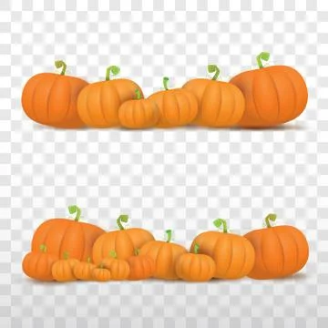 Autumn vector orange pumpkins border design template for banners and 스톡 일러스트