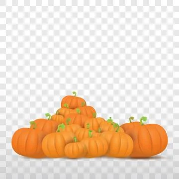 Autumn vector orange pumpkins border design template for banners and Stock Illustration