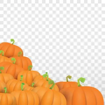 Autumn vector orange pumpkins border design template for banners and 스톡 일러스트