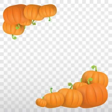 Autumn vector orange pumpkins border design template for banners and 스톡 일러스트
