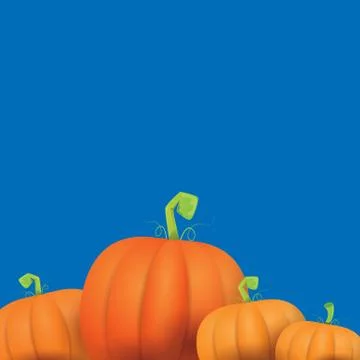 Autumn vector orange pumpkins border design template for banners and 스톡 일러스트