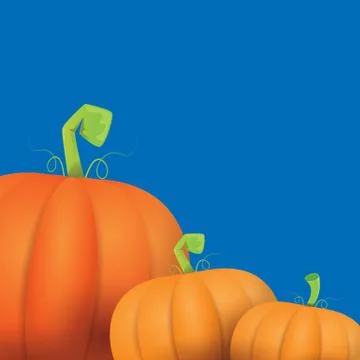 Autumn vector orange pumpkins border design template for banners and Stock Illustration