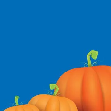 Autumn vector orange pumpkins border design template for banners and Stock Illustration