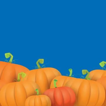 Autumn vector orange pumpkins border design template for banners and Stock Illustration