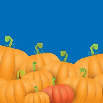 Autumn vector orange pumpkins border design template for banners and Stock Illustration
