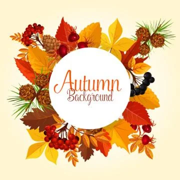 Autumn vector poster of leaf fall and forest berry イラスト素材