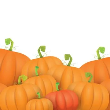Autumn vector pumpkins border design template 스톡 일러스트