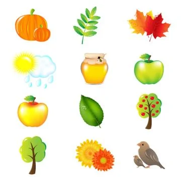 Autumn vector set Stock Illustration