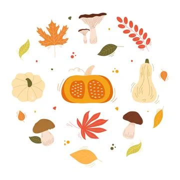 Autumn vector set with pumpkins, mushrooms Stock Illustration